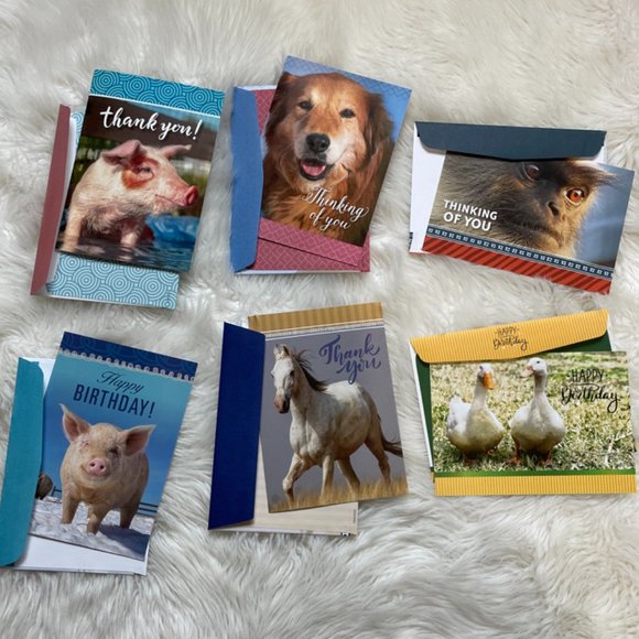 6 Assorted Greeting cards with matching print envelopes (PETA) Blank Inside - Picture 1 of 10